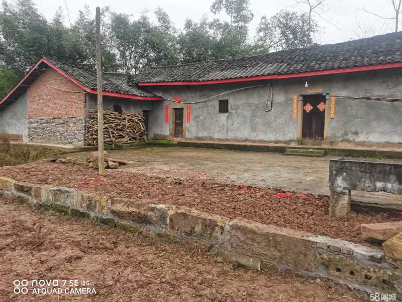 重庆市璧山健龙镇260平独门农房出租共13间住房，