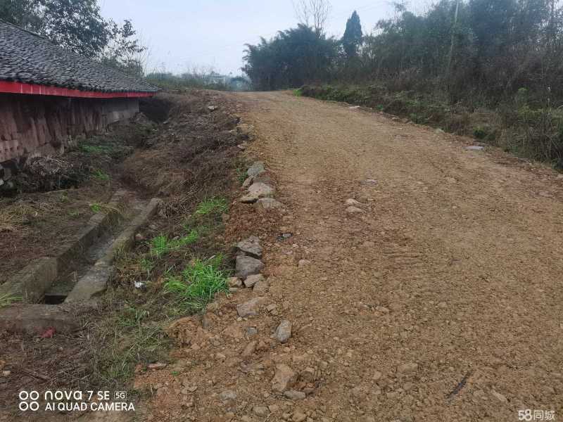 重庆市璧山健龙镇260平独门农房出租共13间住房，