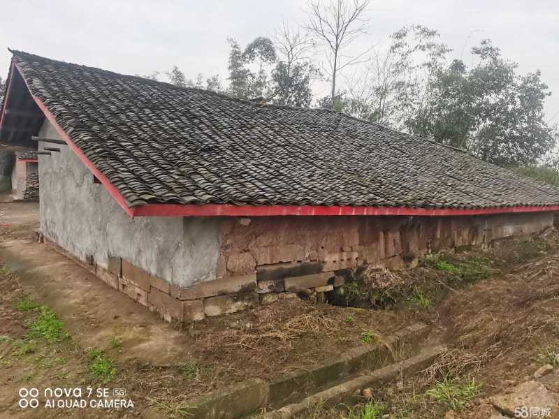 重庆市璧山健龙镇260平独门农房出租共13间住房，