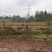 重庆市璧山健龙镇260平独门农房出租共13间住房，