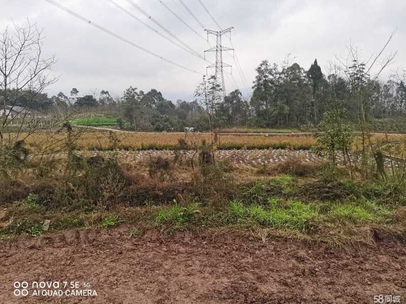 重庆市璧山健龙镇260平独门农房出租共13间住房，