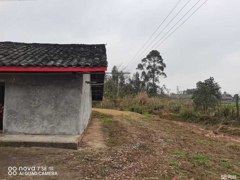 重庆市璧山健龙镇260平独门农房出租共13间住房，