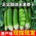 水果萝卜潍坊产地，电商货，市场货，加工厂用的萝卜