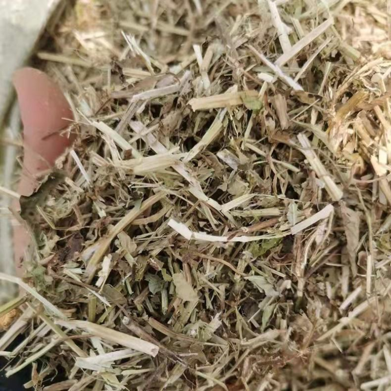【精品】花生秧草料邓新草场花生秧牛羊草长年出售！