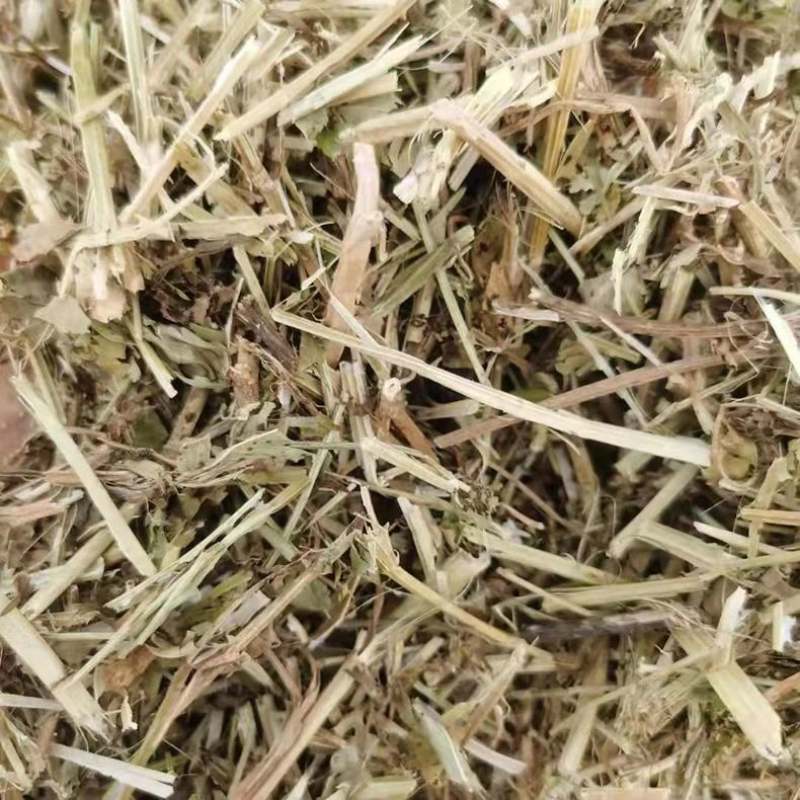 【优选】花生秧邓新草场长年出售花生秧诚信经营欢迎选购！