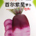 首尔紫星水果萝卜种子紫色紫心萝卜籽种耐热耐寒四季大田用蔬