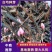 白芍芽，基地直销一手货源、六个芽头以上的，八个芽头以上的