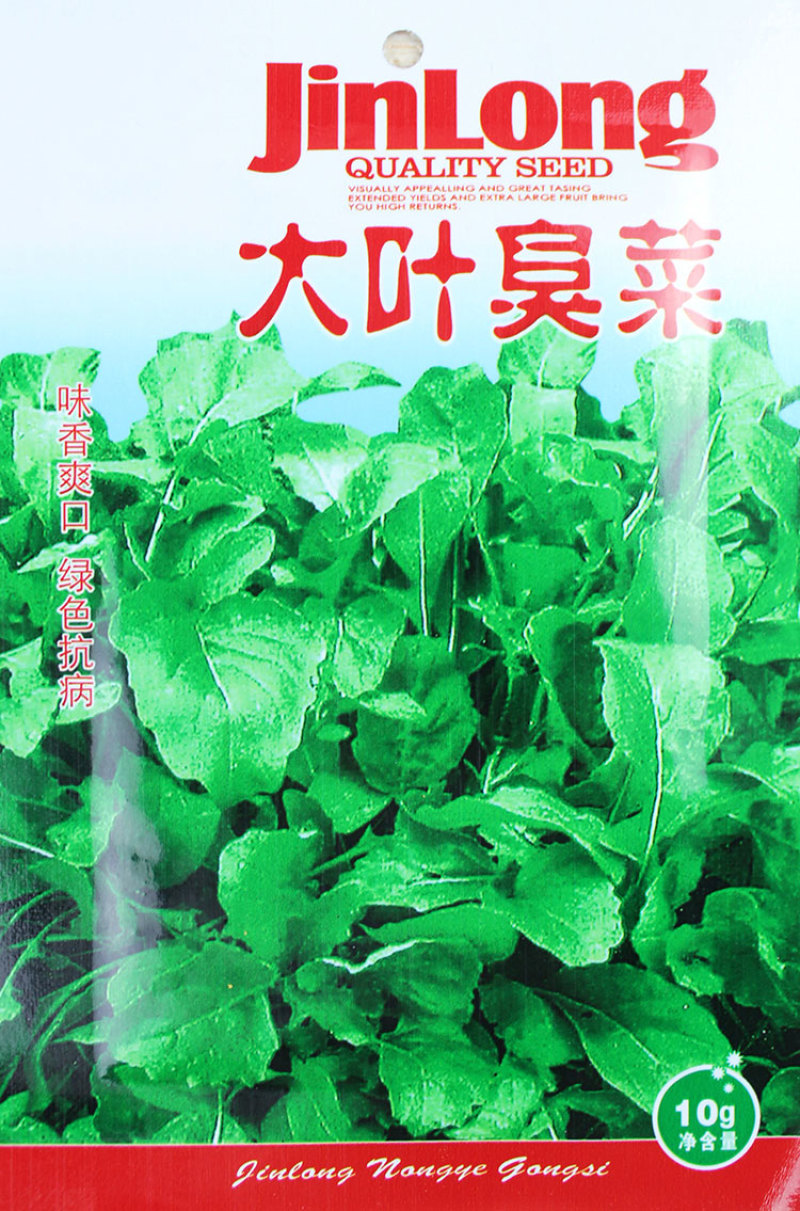 大叶芝麻菜种子四季种子蔬菜种子臭菜种籽味道浓郁
