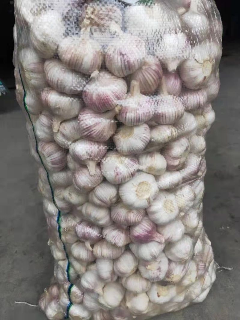 【精选】金乡大蒜产地直发量大质优新鲜上市欢迎选购