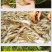干虾虾米对潮汕烤虾虾干烤虾干即食对虾干海鲜干货包邮
