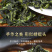 2026新茶安溪铁观音浓香型春茶罐装送礼500g乌龙茶叶