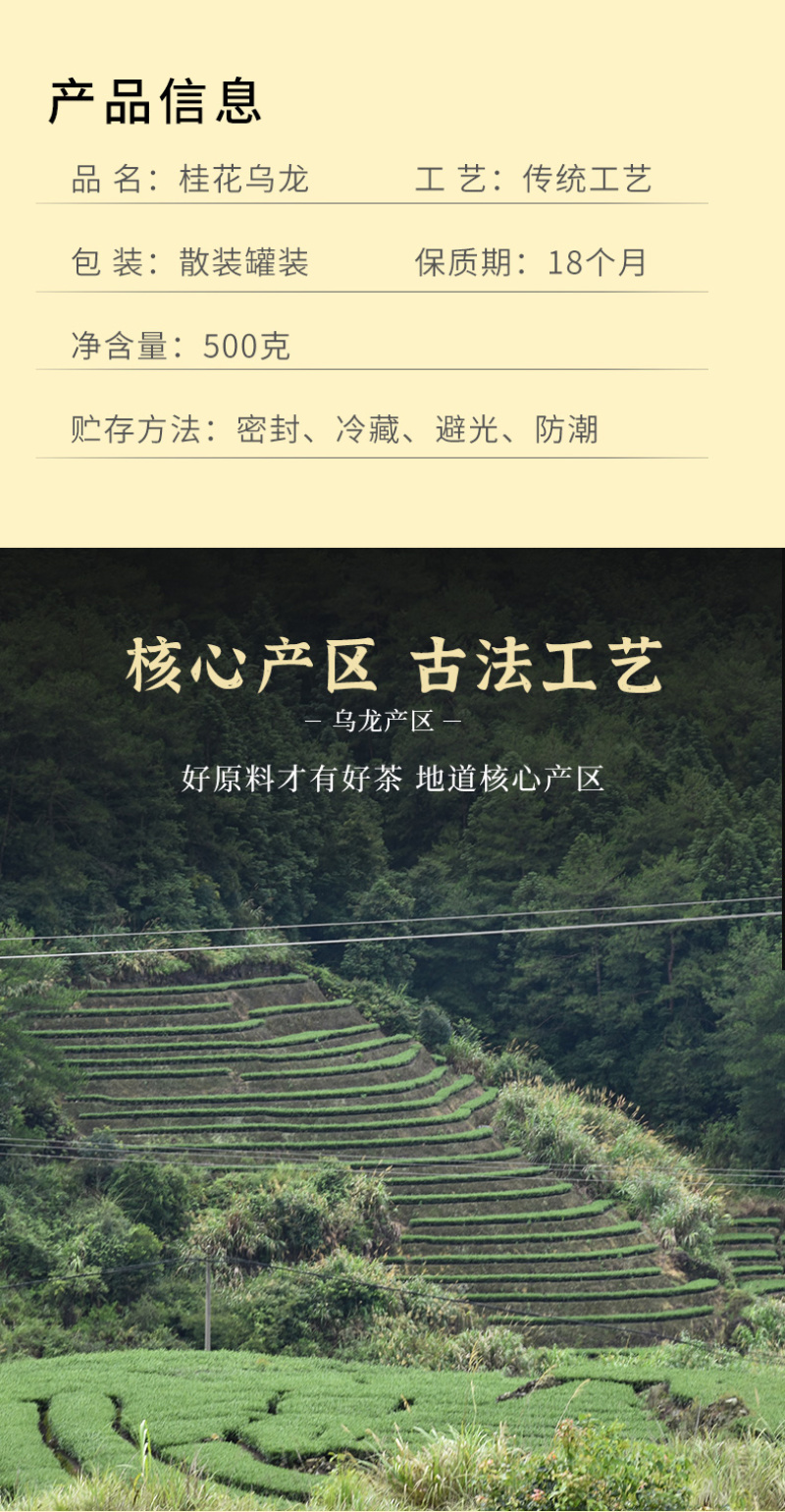桂花乌龙茶浓香型桂花茶铁观音冻顶高山茶叶罐装500g