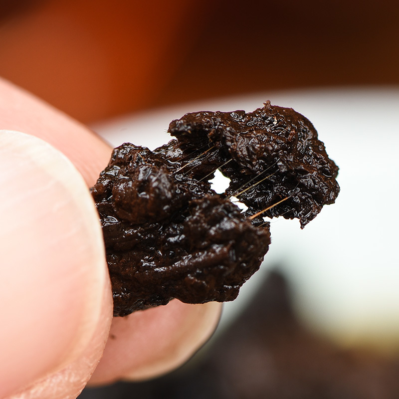 云南茶化石碎银子糯米香普洱茶陈香熟茶勐海散茶茶叶500g