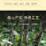 云南茶化石碎银子糯米香普洱茶陈香熟茶勐海散茶茶叶500g