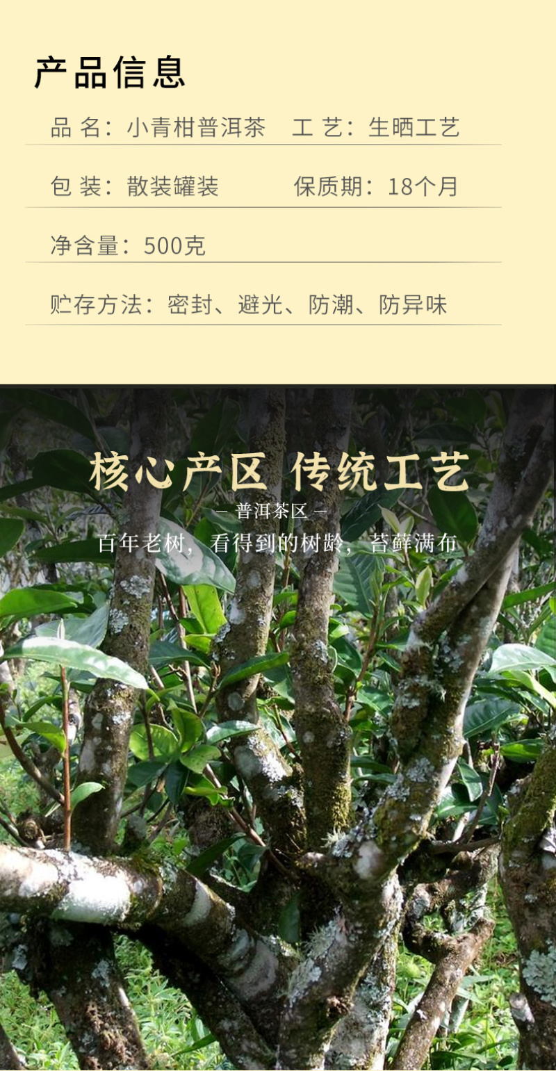 正宗新会小青柑罐装陈皮普洱茶云南勐海熟茶小青桔柑普茶叶