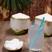 海南椰青去皮椰子产地直发送吸管和开椰器一件代发包邮