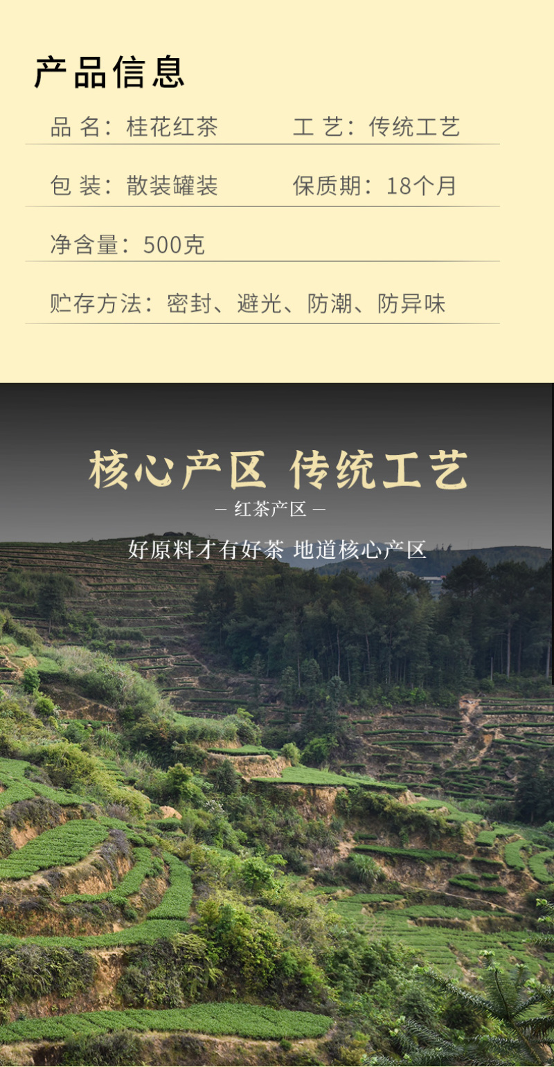 新茶桂花红茶野茶正山小种古法窖制浓香型罐装茶叶500g