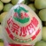 广西正宗精品沙田柚！皮溥肉后纯甜无苦味，大量批发可供电商