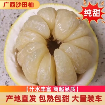 广西正宗精品沙田柚！皮溥肉后纯甜无苦味，大量批发可供电商