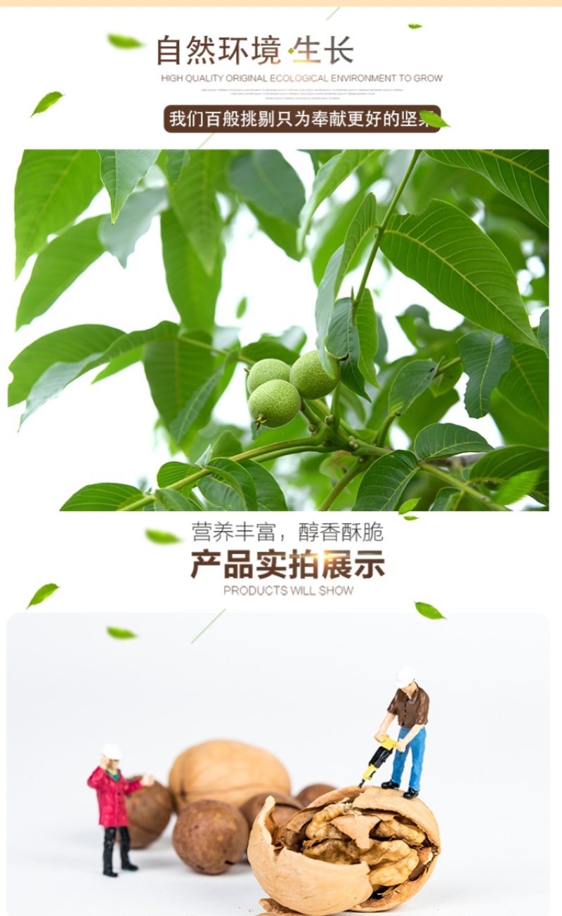 新疆纸皮核桃185核桃新疆薄皮核桃2斤装一件代发包邮