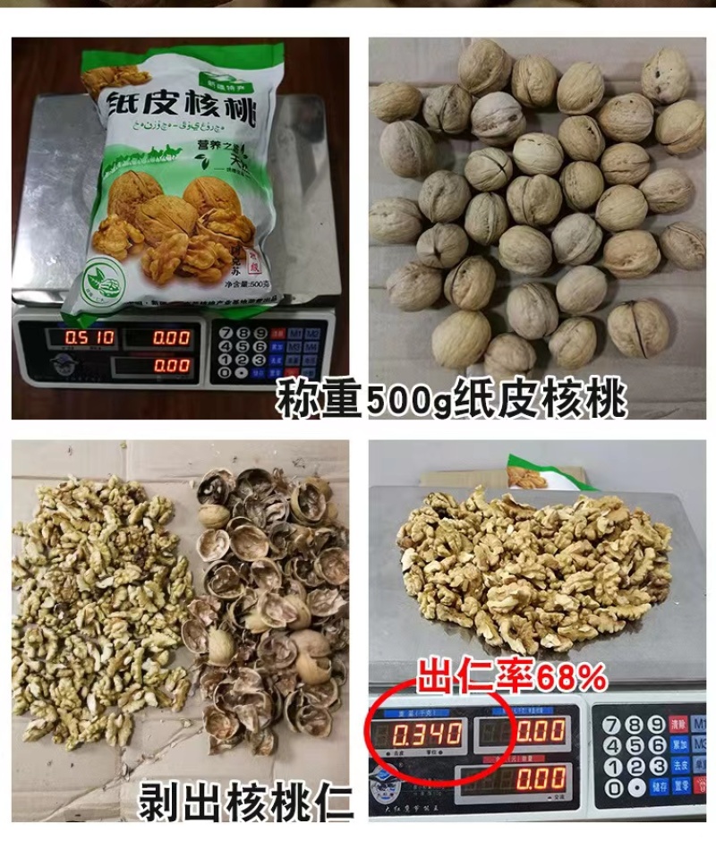 2021新货新疆薄皮核桃纸皮核桃185核桃批发