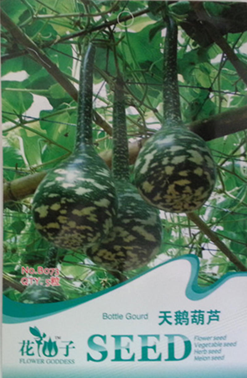 鹤首葫芦种子观光园用种观赏文玩葫芦种籽春季庭院盆栽蔬菜