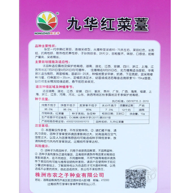 红菜苔种子紫菜苔薹种籽盆栽四季播种蔬菜种孑广东高产红