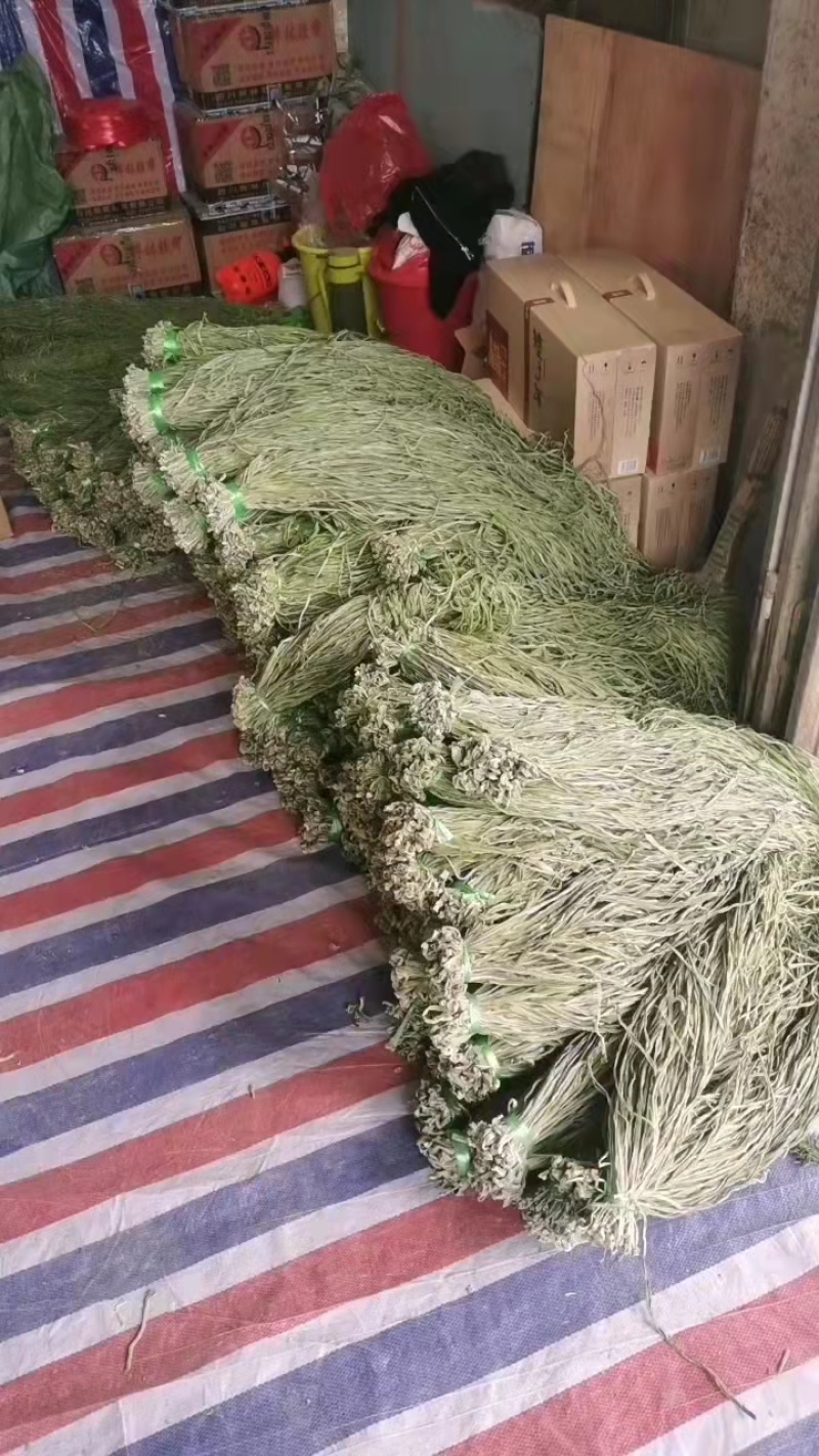 云南贡菜全国接单视频看货量大优惠，全国接单