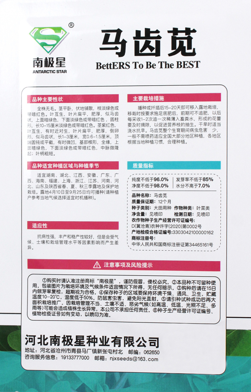 马齿苋种子荷兰直立马蜂菜籽野菜种子四季种植