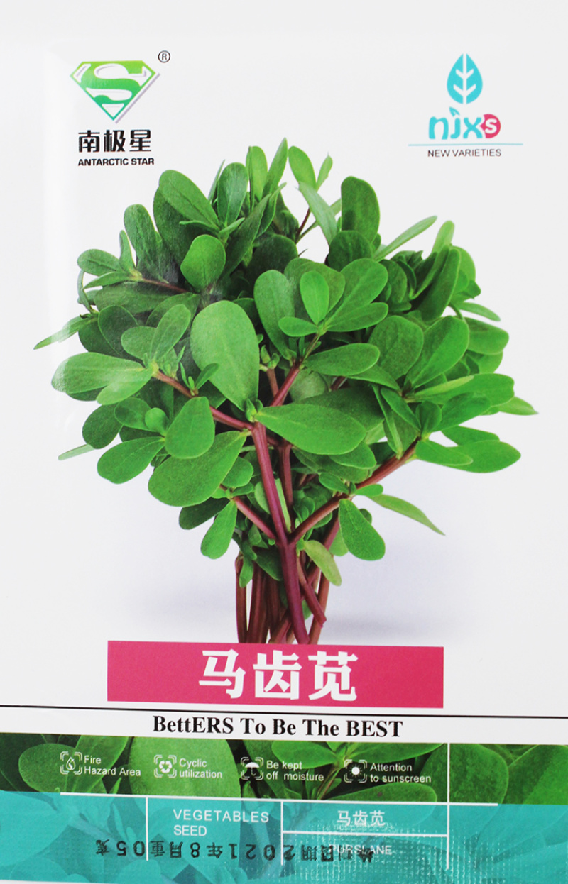 马齿苋种子荷兰直立马蜂菜籽野菜种子四季种植