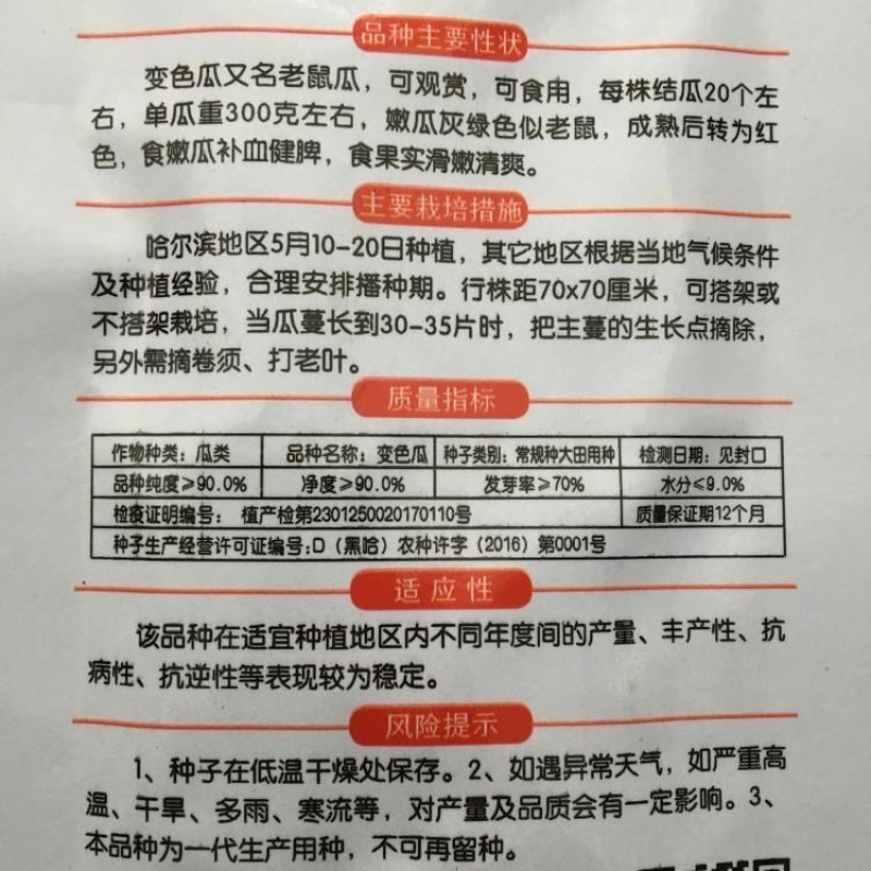 变色瓜种子南瓜种子老鼠瓜籽瓜果蔬菜子春秋四季种植