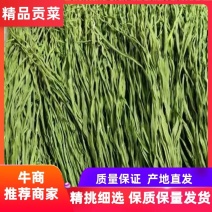 安徽精品贡菜，山蜇菜，供应火锅，水泡菜厂，欢迎咨询