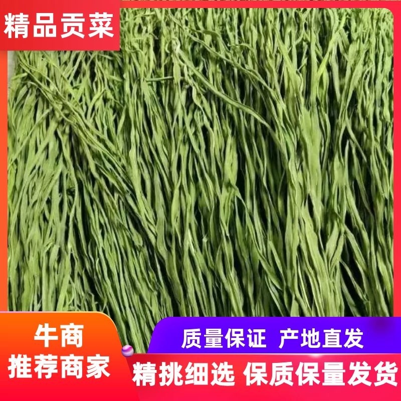 云南贡菜全国接单视频看货量大优惠，全国接单