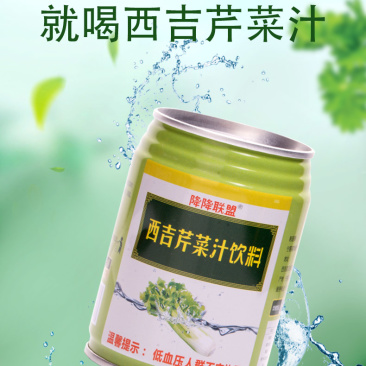 宁夏西吉县降降联盟芹菜汁纯12罐