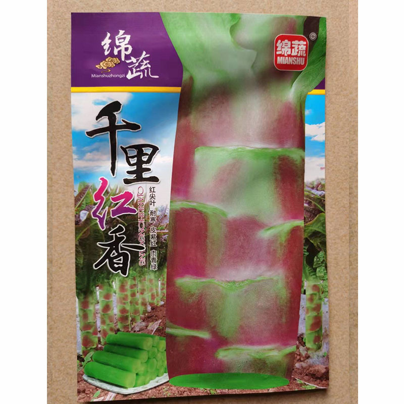 红莴苣种子莴笋紫绿笋秋冬莴笋种子耐寒红皮莴笋种籽