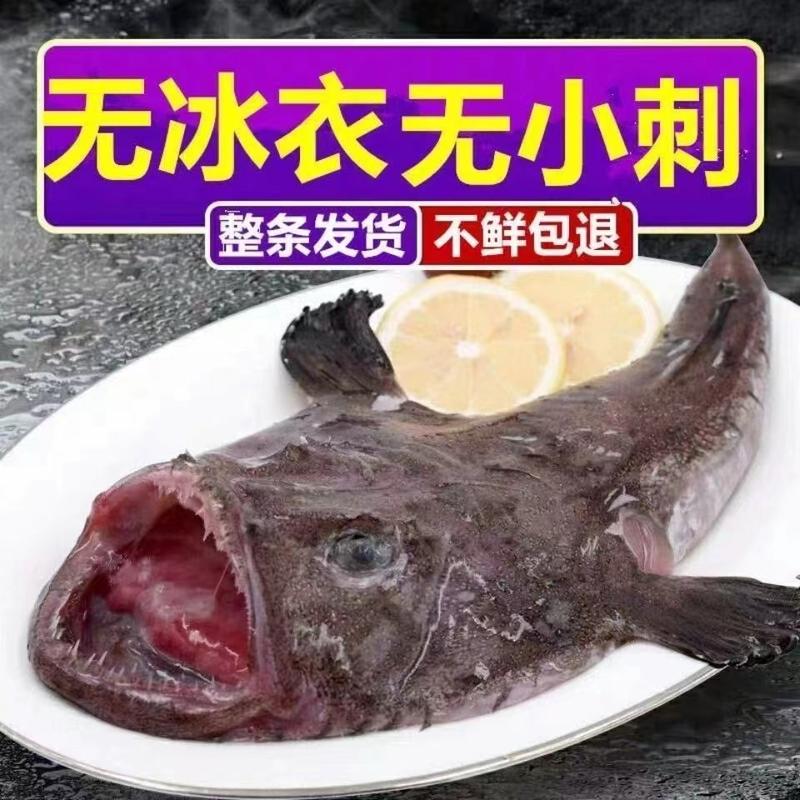 安康鱼/琵琶鱼味道鲜美肉质鲜韧有嚼劲欢迎选购一条发货