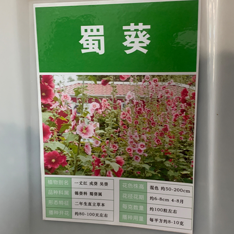 蜀葵种子，蜀葵花种子，当年新种，颗粒饱满，全国发货