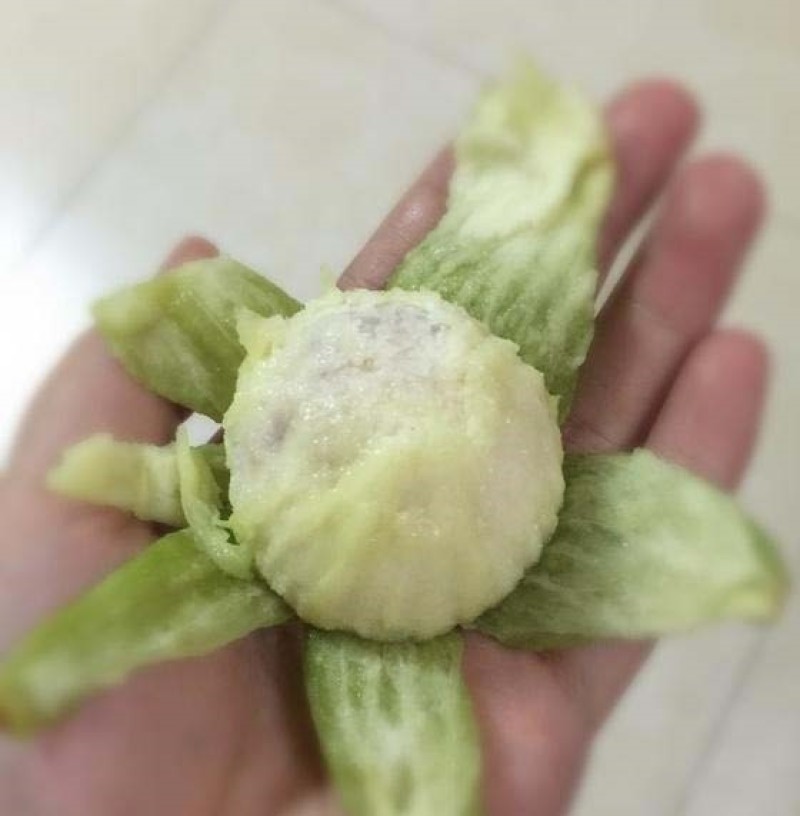无花果树苗波姬红布兰瑞克品种嫁接苗南北方盆栽地栽水果当年
