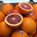 意大利阿诺德血橙苗有玫瑰香味橙子树苗南方北方种植当年