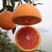 红心橙子苗血橙树苗南方种植当年结果塔罗科血橙树苗地栽