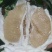 平和蜜柚，白柚，自家种植，现采现摘，新鲜水果