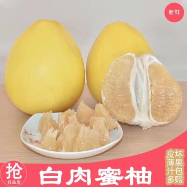 套袋白心蜜柚湖北柚子万亩产地直供一手货源实力供应发全国