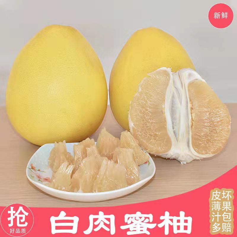 套袋白心蜜柚湖北柚子万亩产地直供一手货源实力供应发全国