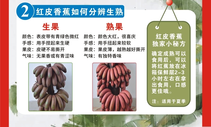 福建漳州南靖新鲜红皮香蕉美人蕉土楼香蕉新鲜应季节水果批发