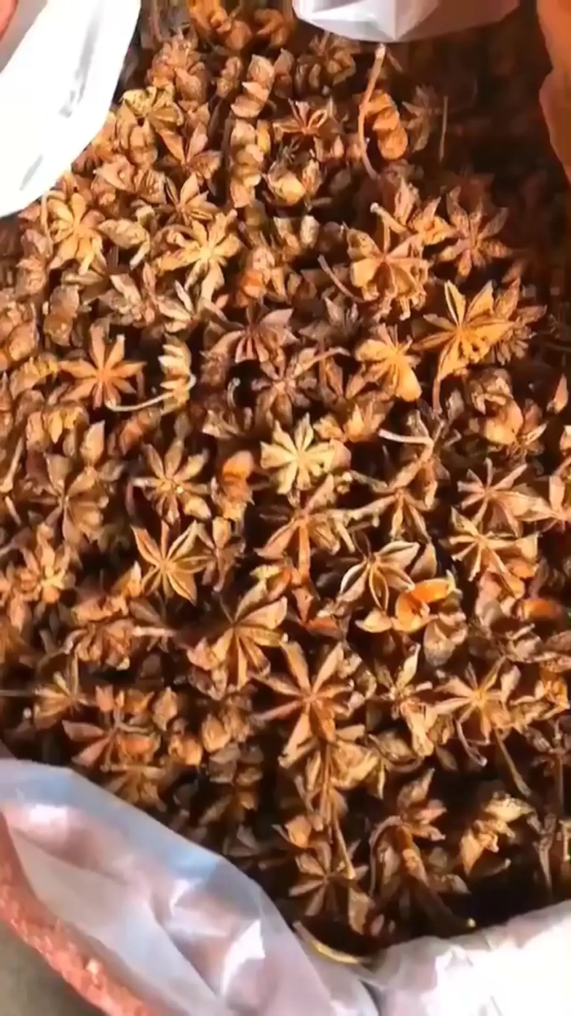 广西大红八角无硫全干角大料八角产地直发欢迎咨询