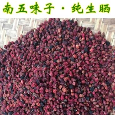 陕西秦岭五味子干货饱满油性足无硫中药材批发大量有货