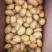 精品小土豆产地直发荷兰十五土豆2~4两1-3两