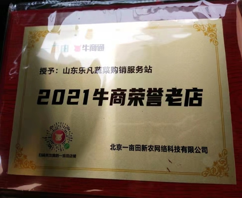 山东新土豆荷兰新土豆大量供应专业工人分捡质量保证