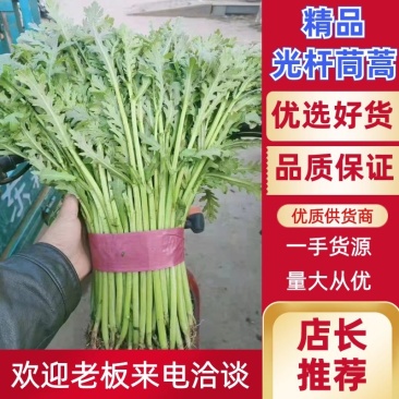 精品光杆茼蒿，无空心，货源充足，质量保证
