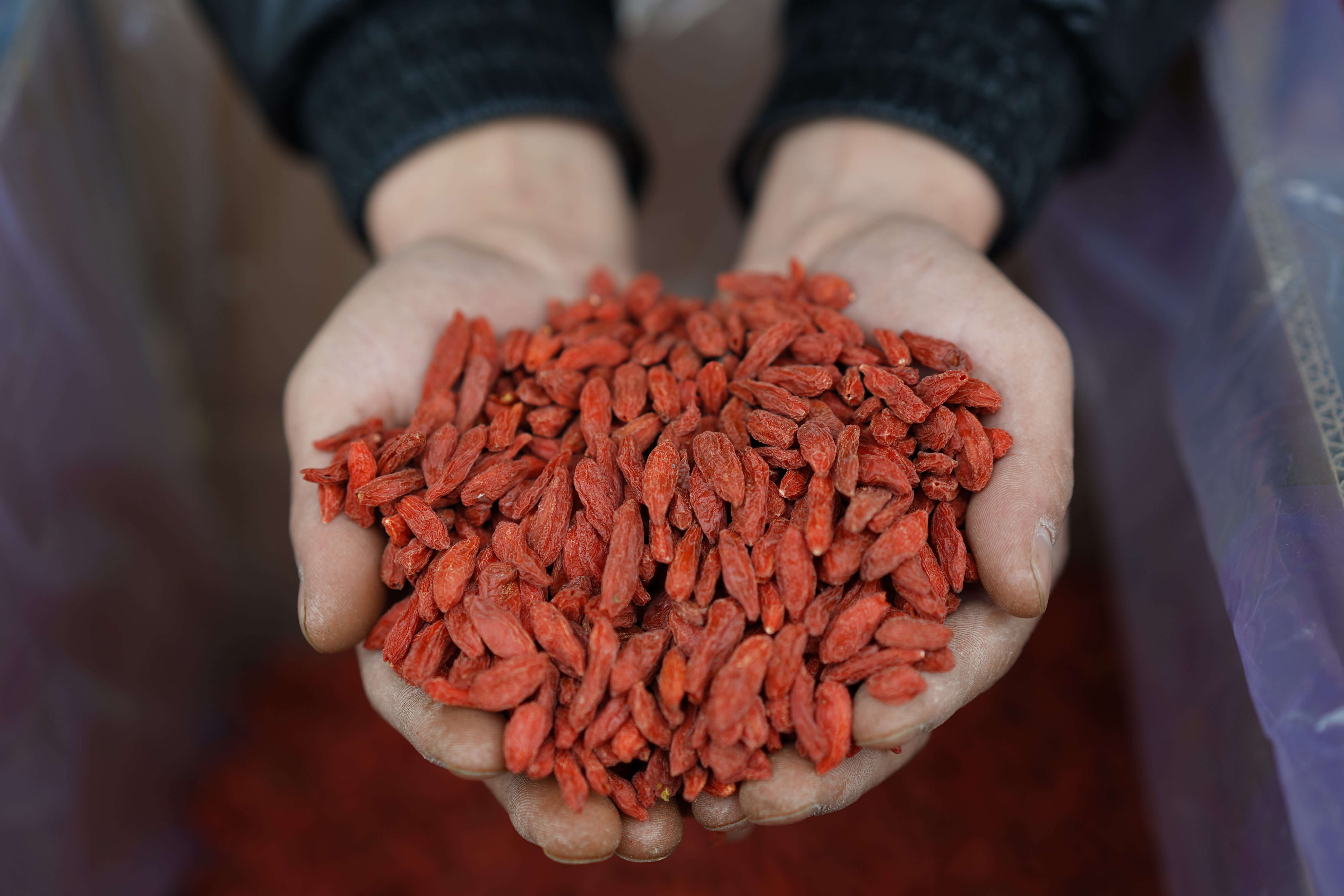 黑枸杞与大枣泡水日常饮用场景图
